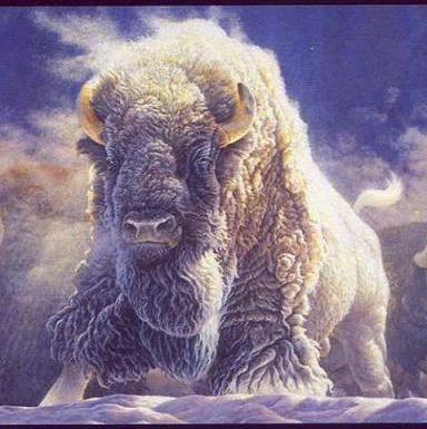 Great White Buffalo