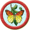 Merit Badge in Nature
[Click For More Info]

Hello Pat. 
Your natural beauty inside and out shines through everything you do, and in the way you deal with people. You're an inspiration to me. 
Giselle. 