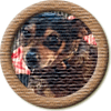 Merit Badge in Char Char Binx
[Click For More Info]

Thank you for sponsoring this badge.