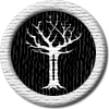 Merit Badge in GOT: House Forrester
[Click For More Info]

 Enjoy this beauty on behalf of  [Link To Item #got]  and your awesome participation this year. I think 2024 was the best year yet. *^*Heart*^* ~ Gaby