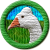 Merit Badge in Save Roman Geese
[Click For More Info]

Congratulations on your new merit badge! Thank you for supporting the Writing.Com community with your inspirations, participation and activities. We sincerely appreciate it! -SMs