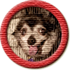 Merit Badge in Teenie Bo Beanie Baby Boo
[Click For More Info]

Congratulations on your new merit badge! Thank you for supporting the Writing.Com community with your inspirations, participation and activities. We sincerely appreciate it! -SMs