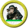 Merit Badge in The Blogging Banana Bar
[Click For More Info]

    Congratulations & Thank You   

  from       Andre      

For competing the full four weeks of the Non-Judgmental Blogging Event in January 2023. 

Please show your badge when entering the Banana Bar and join others in the  Banana Bloggers' Lounge .

 Your blogging is always welcome at  [Link To Item #1985857] .  