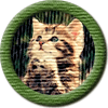 Merit Badge in Thoughts and Prayers
[Click For More Info]

I Am So Very Sorry For Your Loss. My Thoughts Are With You, And Your Family.