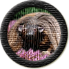 Merit Badge in Wild Hairy Haggis
[Click For More Info]

Congratulations on completing all of  [Link To Item #tcc]  so far! That is an amazing accomplishment. *^*Delight*^* *^*Heartv*^*