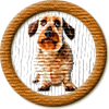 Merit Badge in You Lucky Dog
[Click For More Info]

Congratulations on your new merit badge! Thank you for supporting the Writing.Com community with your inspirations, participation and activities. We sincerely appreciate it! -SMs