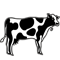 *Cow*