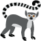 *Lemur*