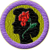 Merit Badge in Inner Beauty
[Click For More Info]

Surprise!