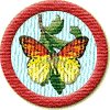 Merit Badge in Nature
[Click For More Info]

For the awesome GARDEN OF REVIEWS page. I love my flower!