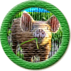 Merit Badge in Save Tamworth Pigs
[Click For More Info]

Up for another trade when the timing is right?  *^*Bigsmile*^*