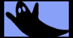 b.meridith's Portfolio