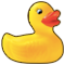 *Duck*