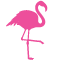 *Flamingo*