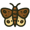 *Moth*