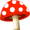 *Mushroomr*