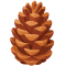 *Pinecone*