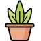 *Plant*