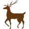 *Reindeer*