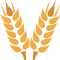 *Wheat*