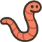 *Worm*