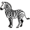 *ZEBRA*